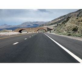 Nevada built a large wildlife overpass on I-80 at Silver Zone Pass in the Toano Range. This is the largest structure in North America.